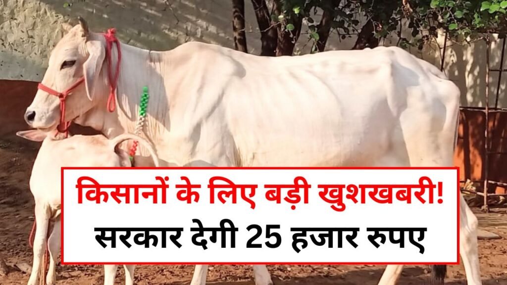 Haryana Desi Cow Yojana